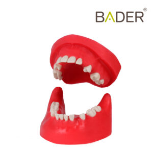 Tipodonto quirúrgico